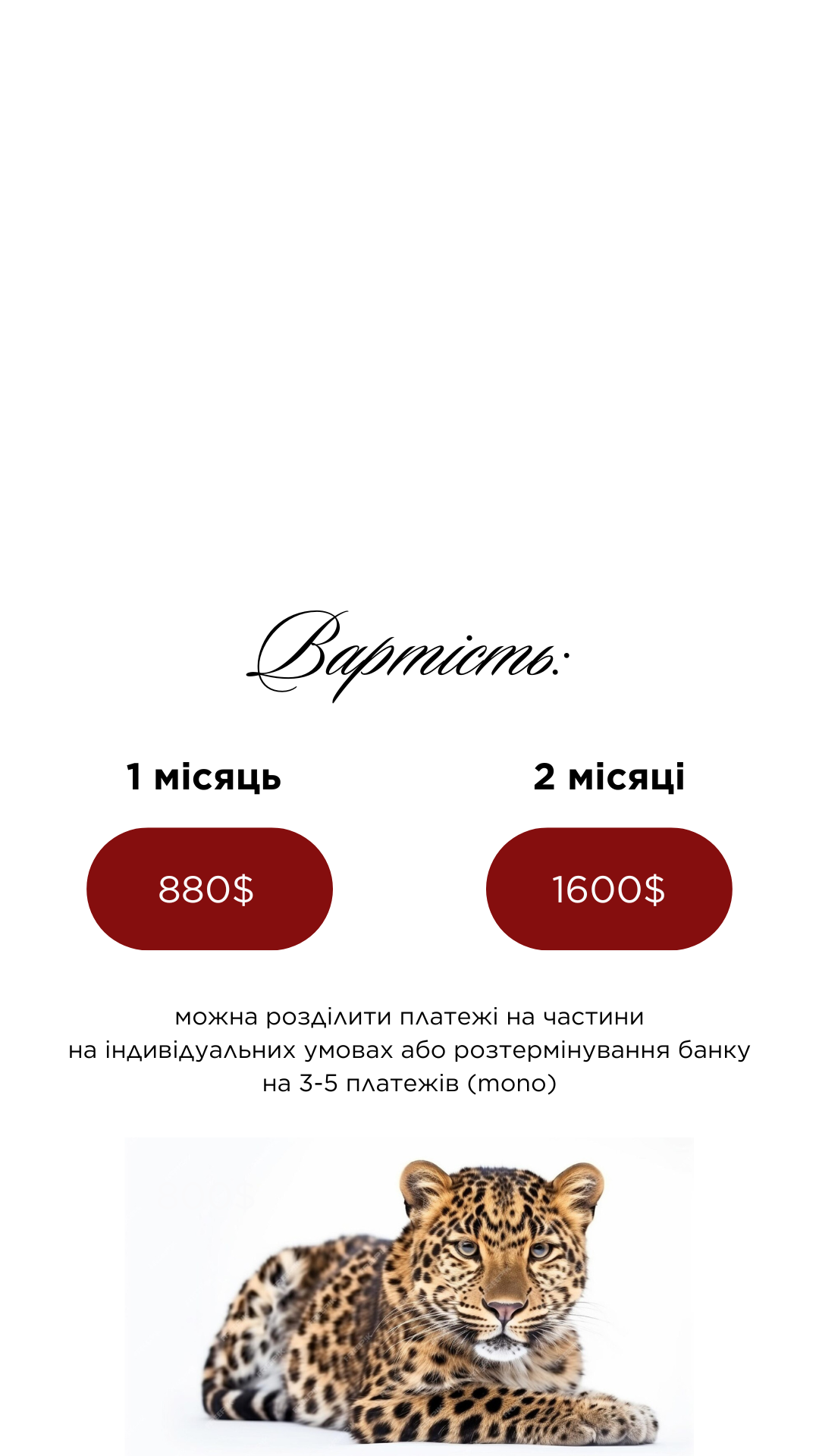 Текст абзацу, копія, копія (4)